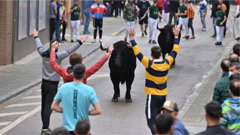 Shënohet viktima e parë në hapjen e festivalit të demave në Spanjë