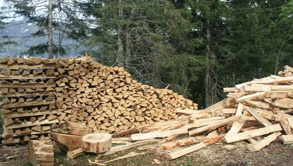 Rritet edhe çmimi i druve në Kosovë