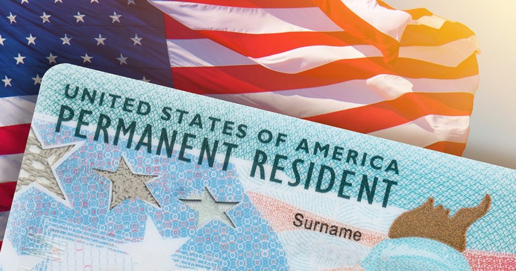 Sot nis lotaria amerikane