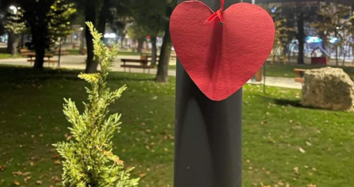 Vetëvendosje “mbush” Podujevën me zemra të kuqe