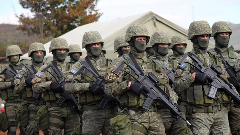 Pozicionimi në krahë të Ukrainës, ekspertët thonë se ushtria e Kosovës mund të ndihmojë në disa mënyra aleatin e SHBA-së