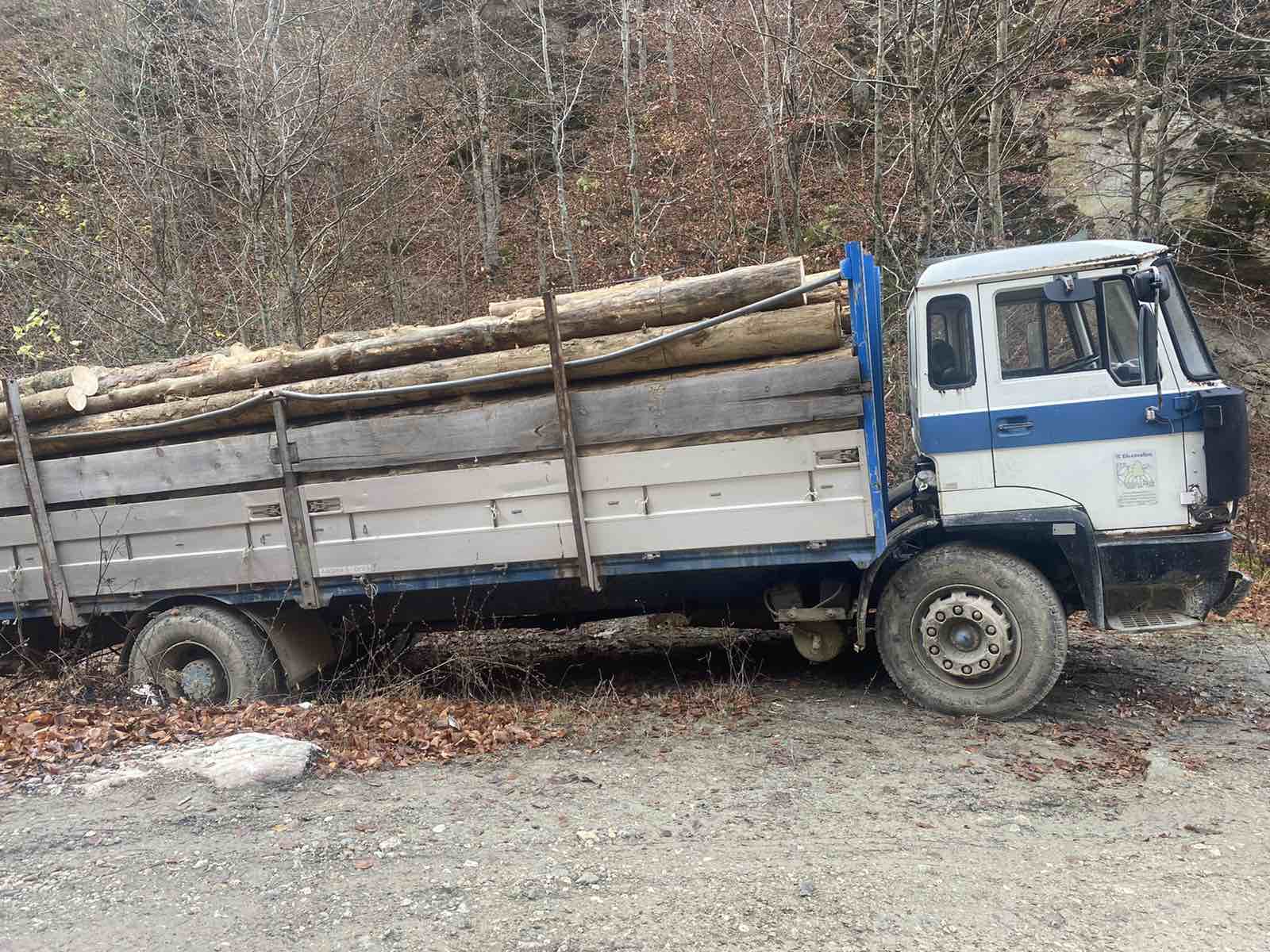 Kapen duke vjedhur drunjë, Policia arreston dy persona