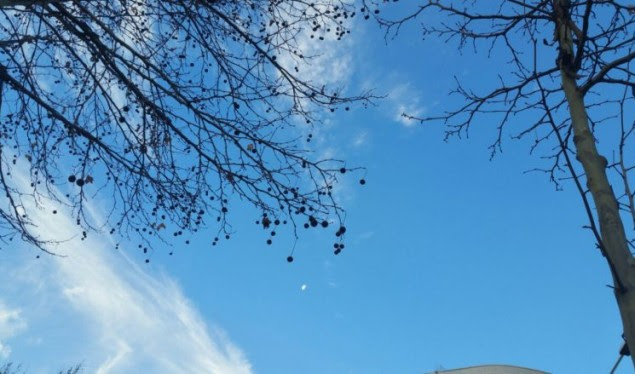 Parashikimi i motit për nesër, temperaturat maksimale arrijnë deri në 19 gradë Celsius