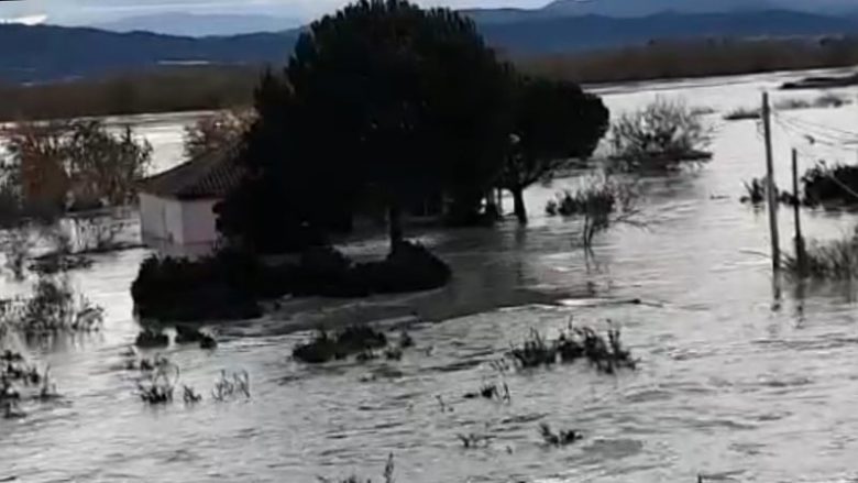 Kosova e gatshme ta ndihmojë Shqipërinë pas përmbytjeve në zonën e Fierit