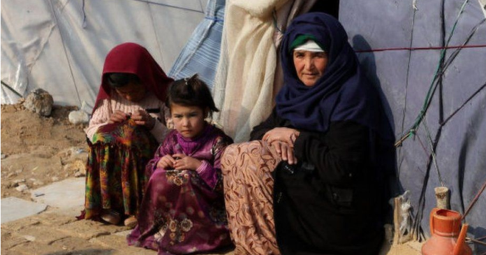 Afganistani në krizë urie, donatorët dhurojnë 280 milionë dollarë