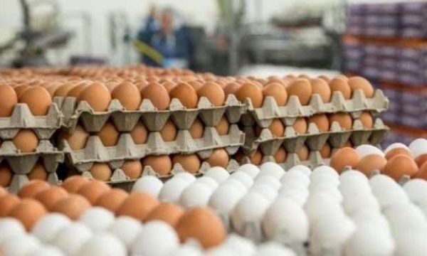 Ulja e çmimit të vezëve krijon tollovi në një market në Gjakovë
