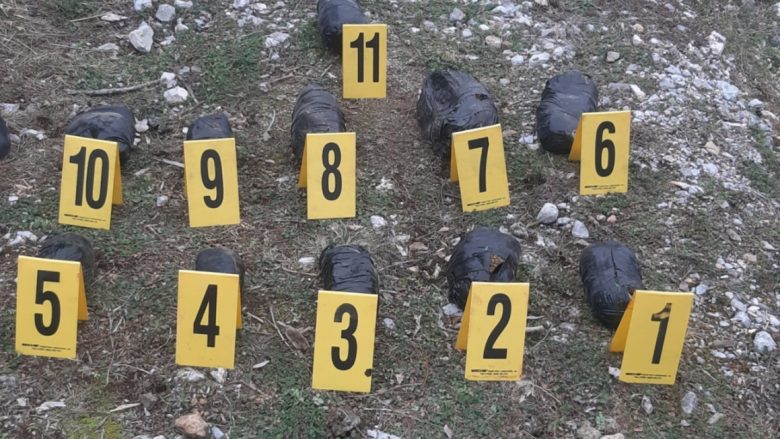 Policia e Kosovës gjen mbi 6 kg drogë të fshehur nën gurë