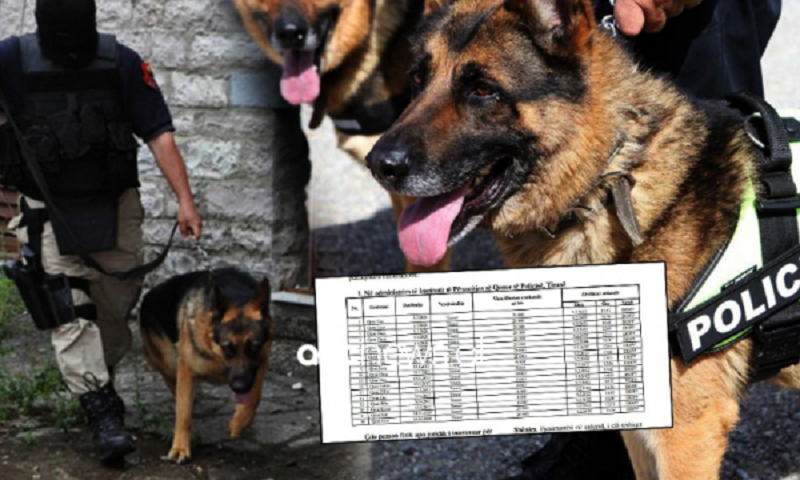 Policia e Shqipërisë i nxjerr qentë në shitje, kaq kushtojnë
