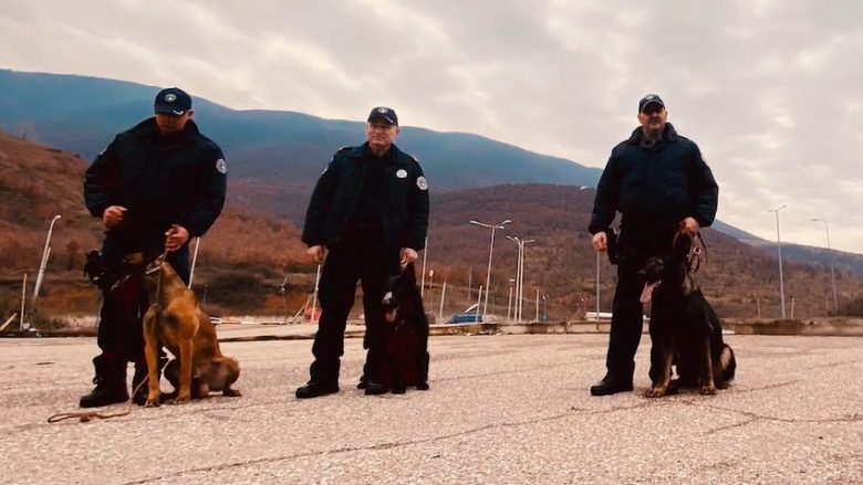 Njihuni me Njësitin K9 të Policisë së Kosovës, falë tyre kufiri është i sigurt