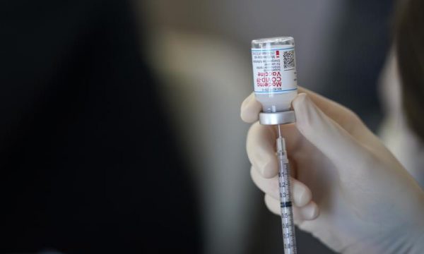 BE planifikon të eksportojë 700 milionë doza të vaksinave Anti-COVID deri në mesin e këtij viti