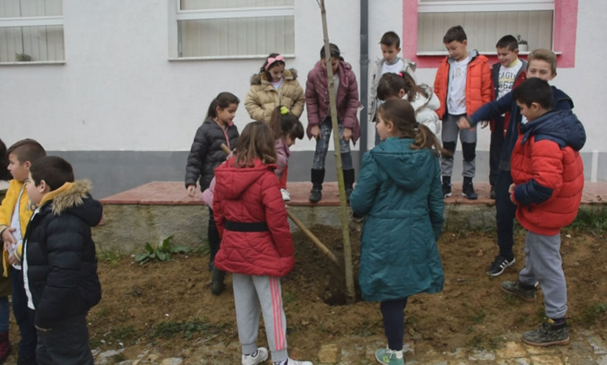 “Lexojnë, por nuk kuptojnë”, në Shqipëri janë shtuar analfabetët për shkak të pandemisë