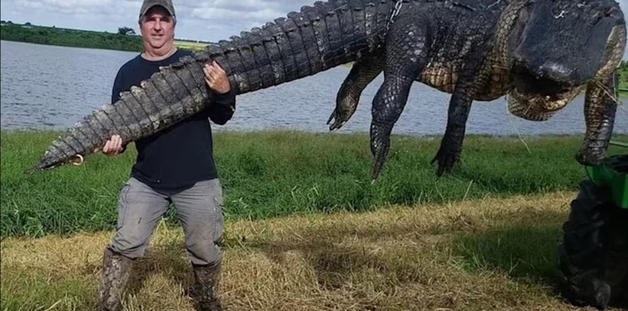 Gjahtari nga Mississipi vret krokodilin monstër që friksonte banorët prej 80 vitesh