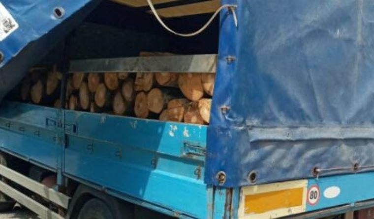 Kriza energjetike, qytetarë të shumtë blejnë drunj për ta kaluar dimrin