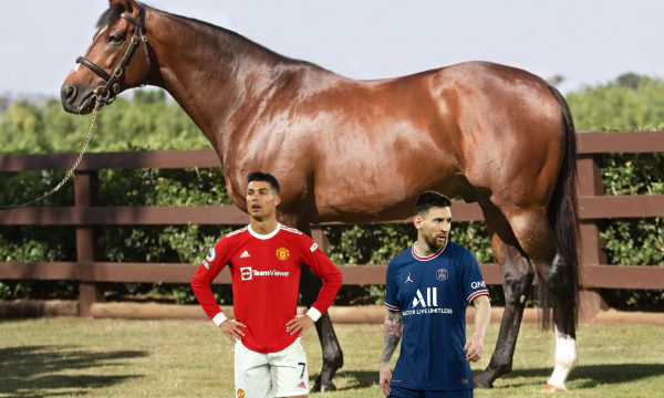 Ky është kali që kushton më shumë se Messi e CR7 së bashku