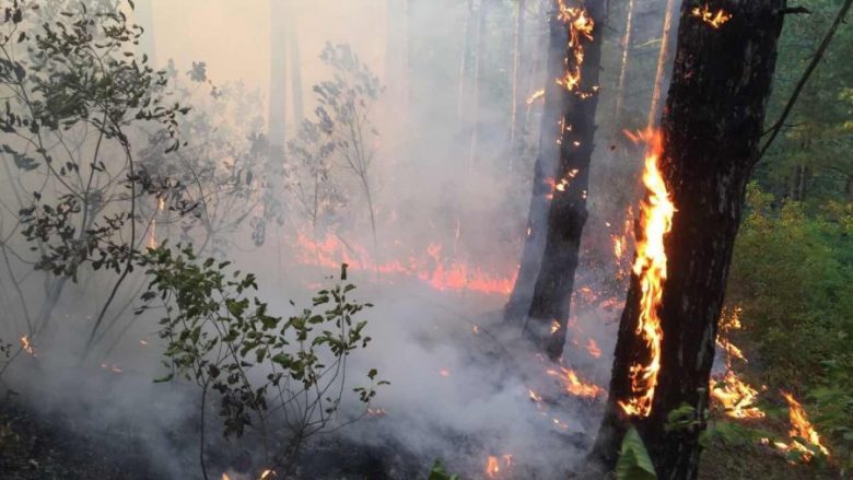 Brigada e Zjarrfikësve në rajonin e Prishtinës, sot ka pasur 30 thirrje për zjarre