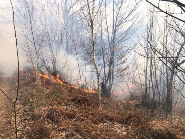 Digjen pyjet në fshatrat e Ranillukut dhe Novobërdës