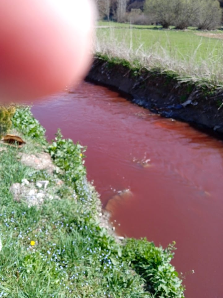Pamje të tmerrshme: Lumi në fshatin e Gjilanit mbushet me gjak nga therja e kafshëve