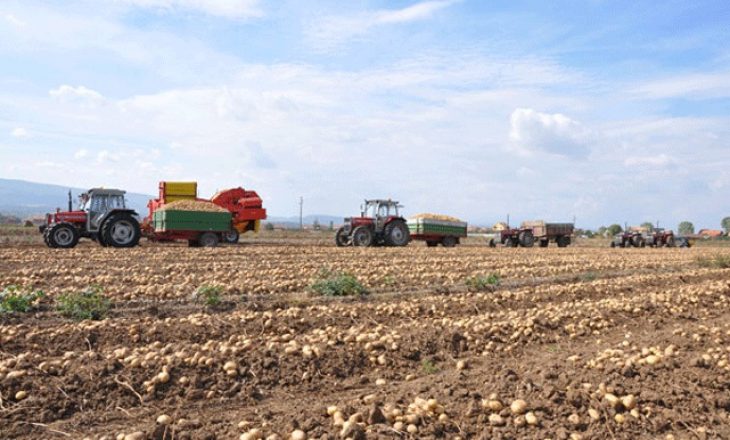 Ulja e temperaturave ka shqetësuar bujqit në Kosovë