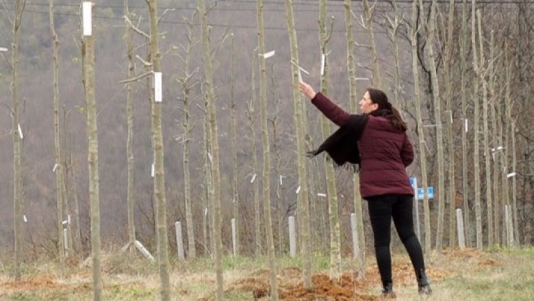 Rrëfimi për masakrën në Dyz të Podujevës: Fushat ishin të mbuluara me qese të civilëve të vrarë nga ushtria serbe