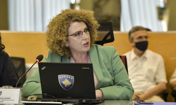 Raportimi për zhdukjen e 10 milionë eurove të destinuara për rezervat shtetërore, ministrja Hajdari e mohon