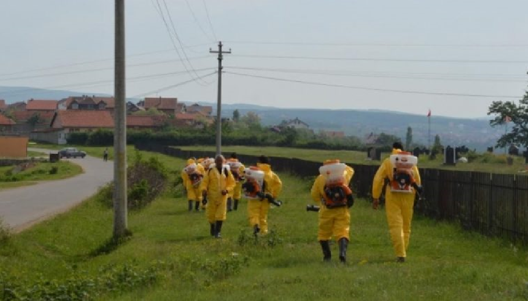 Rreth 267 raste të pickimit nga rriqrat në Malishevë