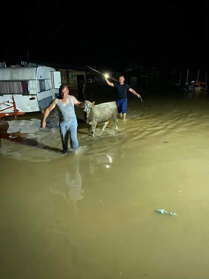 Latifi kërkon ndihmë nga Qeveria pas vërshimeve në Rahovec