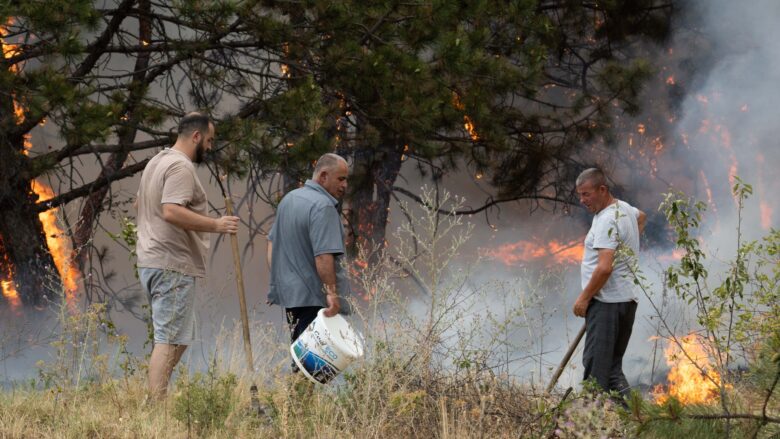 Zjarr i madh përfshin zonën pyjore mbi fshatin Corroticë në Preshevë
